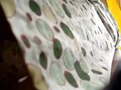 Amarrou e fodeu massagem porno legendado sua loira